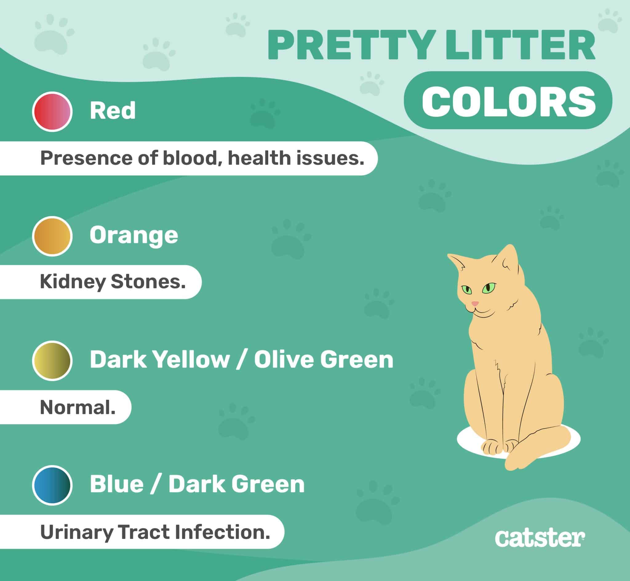 Catster_Pretty Litter Colors_v1-3_Dec 14 2023