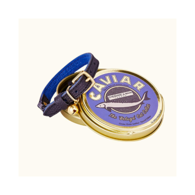 Cheshire & Wain Beluga Caviar Collar