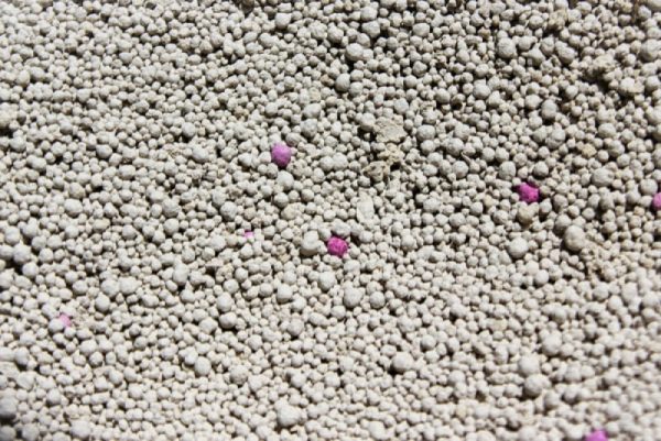 Can You Use Kitty Litter for Oil Spills? Alternative Uses, Tips - How To Remove Red Dye From Diesel Using Cat Litter