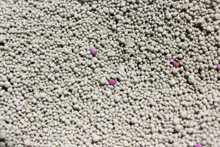 Can cat litter be used for oil spills? Alternative Uses, Tips and Tricks