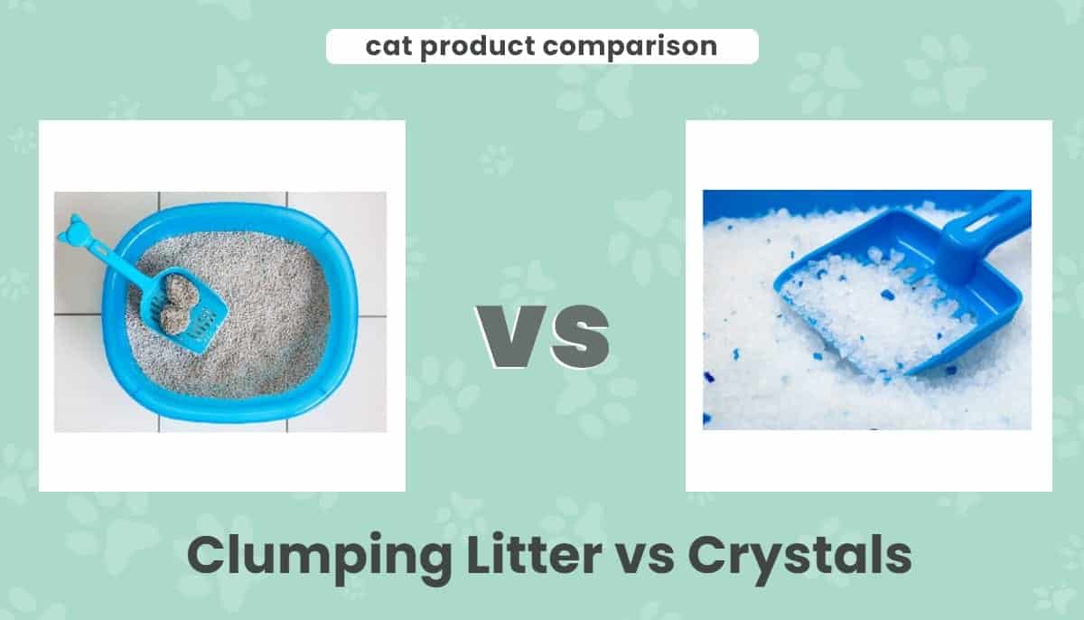 Clumping litter vs crystals
