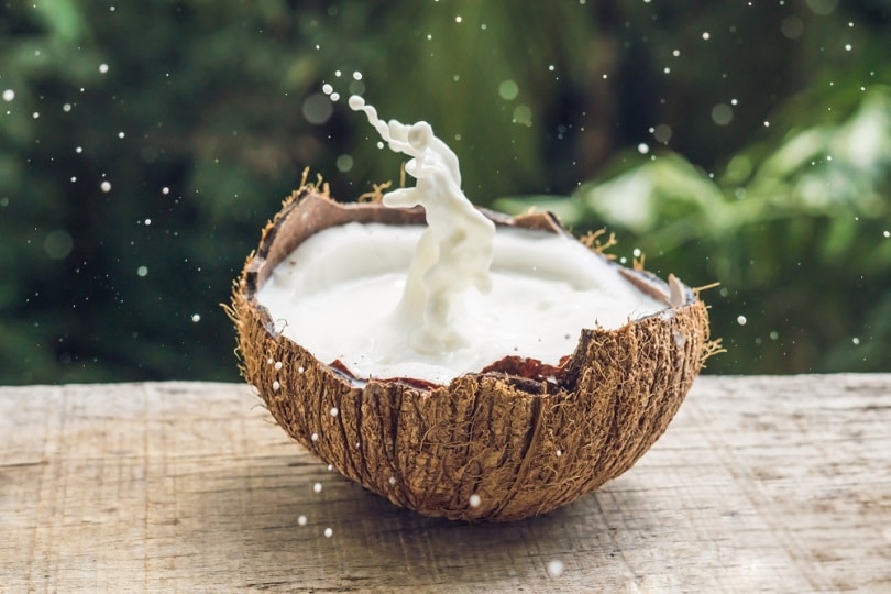 Coconut fruit and milk splash inside it