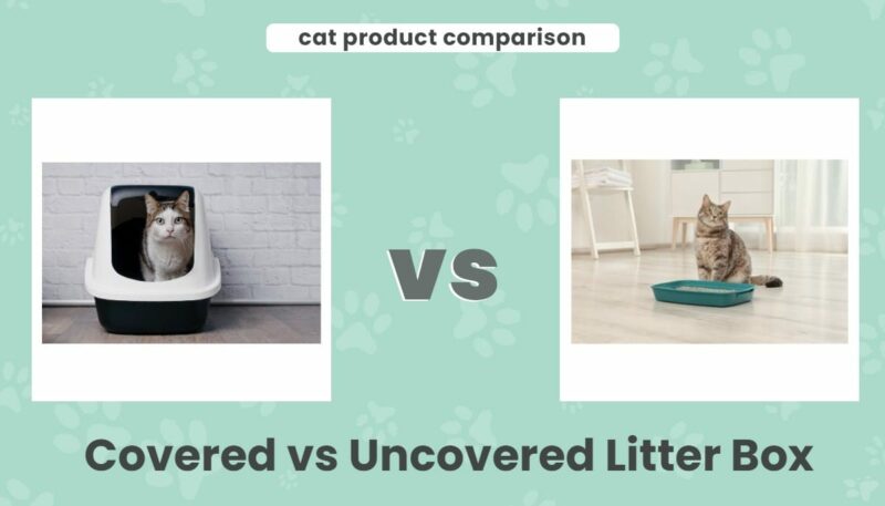 Covered Vs Uncovered Litter Box Our 2024 Comparison Pros Cons Catster covered-vs-uncovered-litter-box-our-2024-comparison-pros-cons-catster