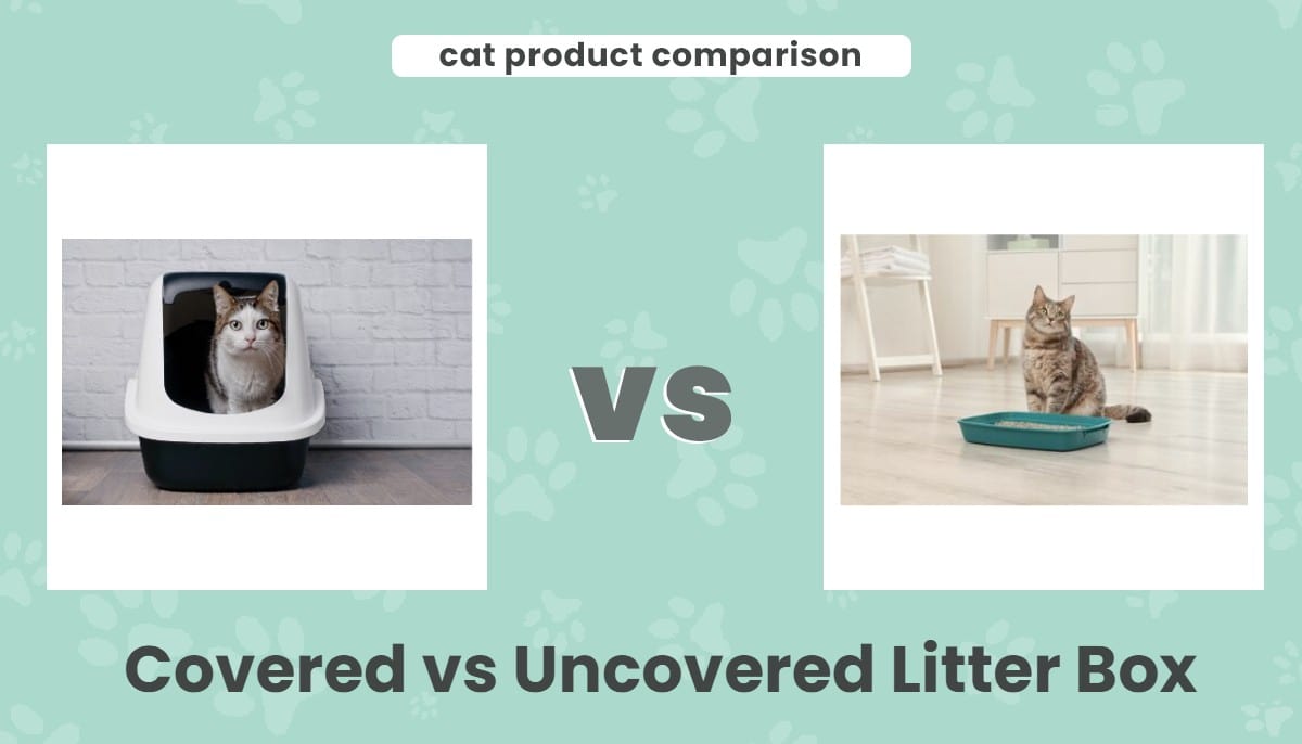 Covered vs uncovered litter box