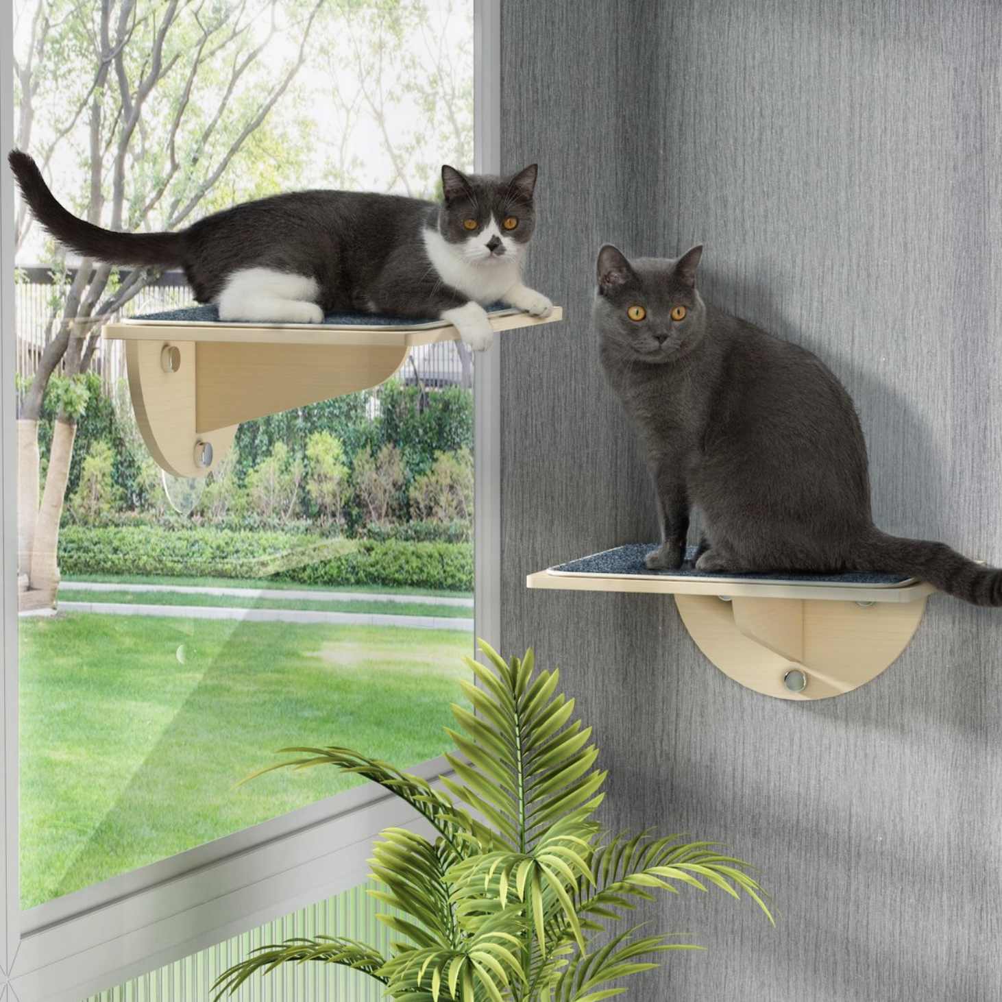 Coziwow Cat Window Perch with Suction Cups