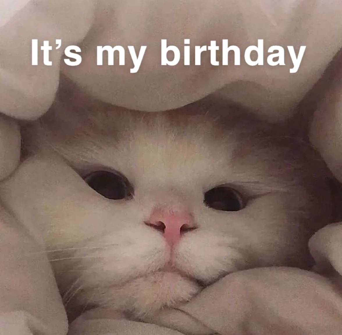 Cozy Birthday