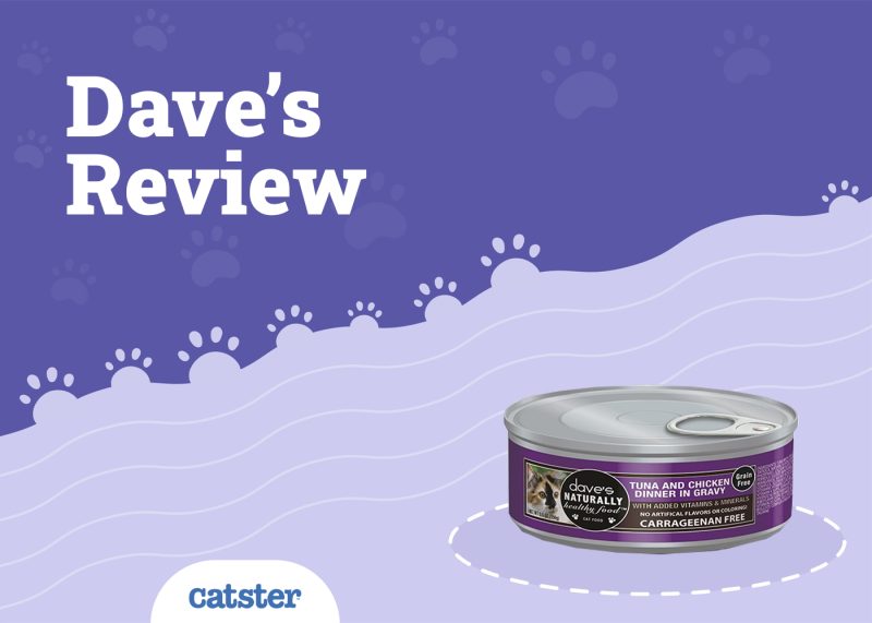 Dave's Cat Food Review