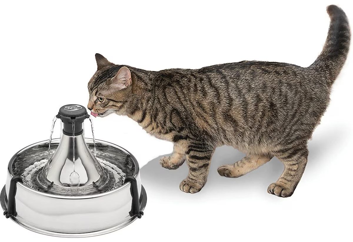 Drinkwell 360 Stainless Steel Pet Fountain