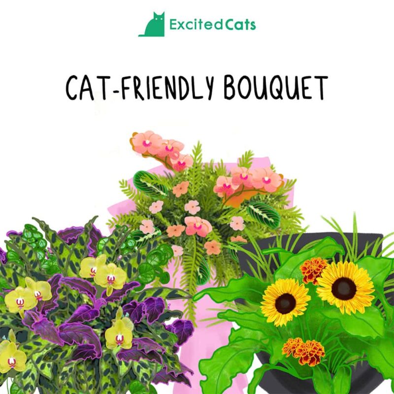 Cat Friendly Bouquets
