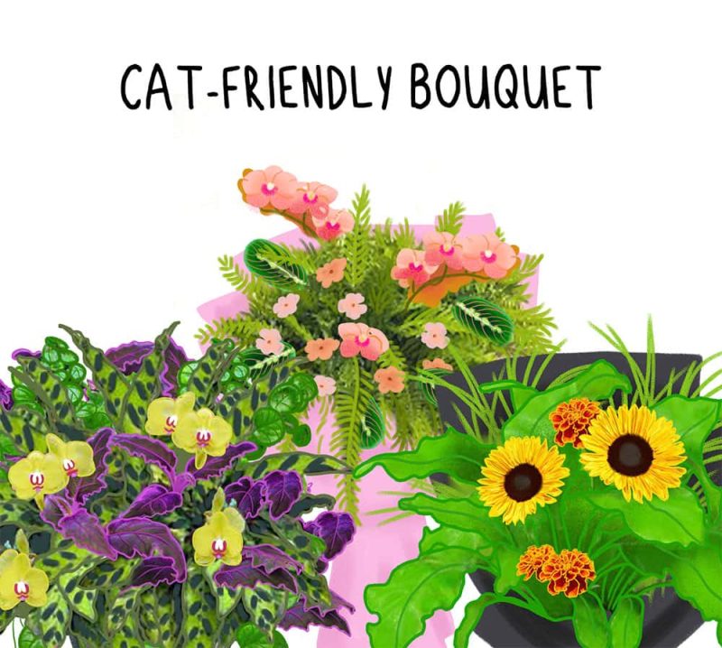 Cat Friendly Bouquets
