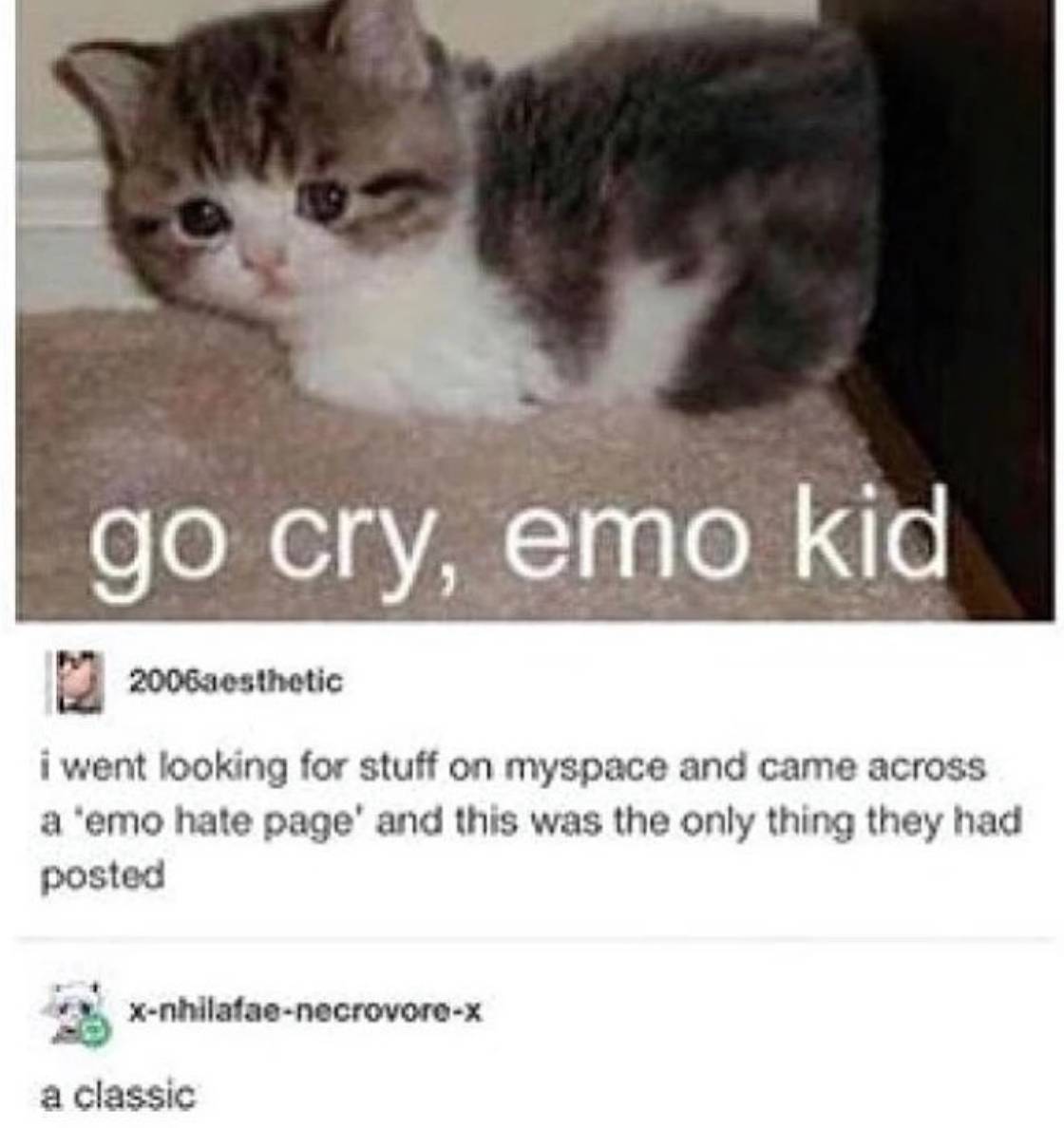 Emo Myspace Kitty