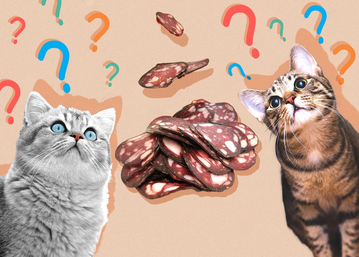 Can Cats Eat salami