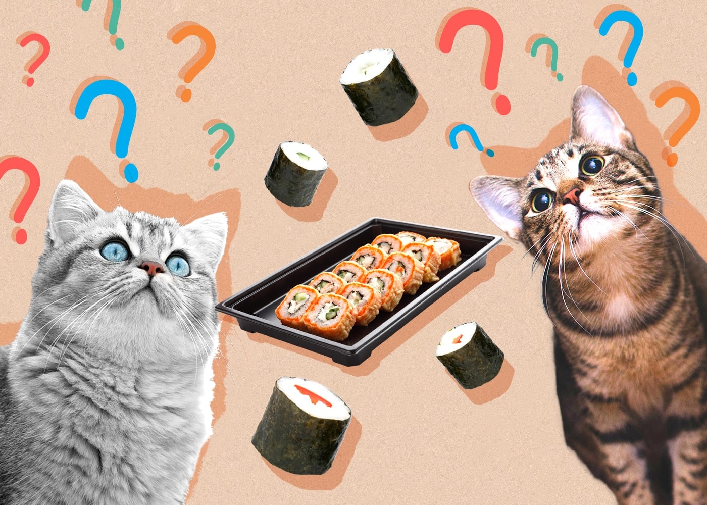 Can Cats Eat sushi