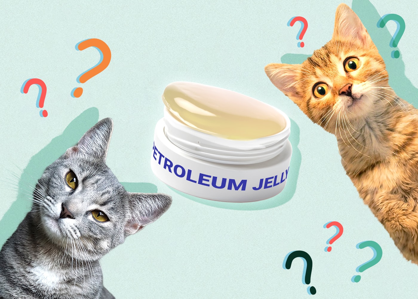 Can Cats Eat vaseline