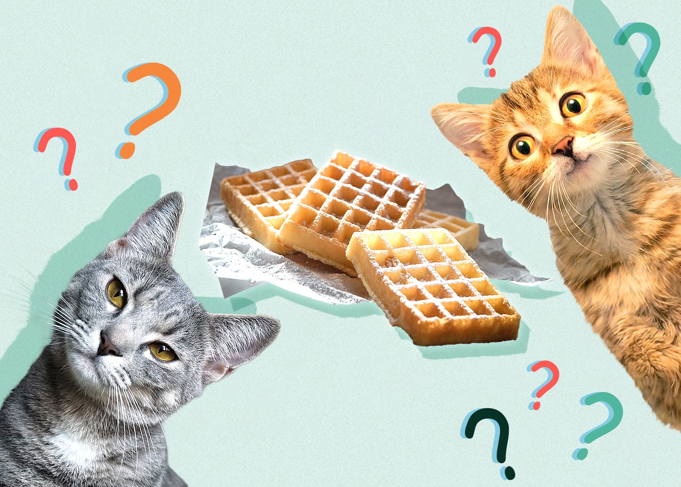 Can Cats Eat waffles