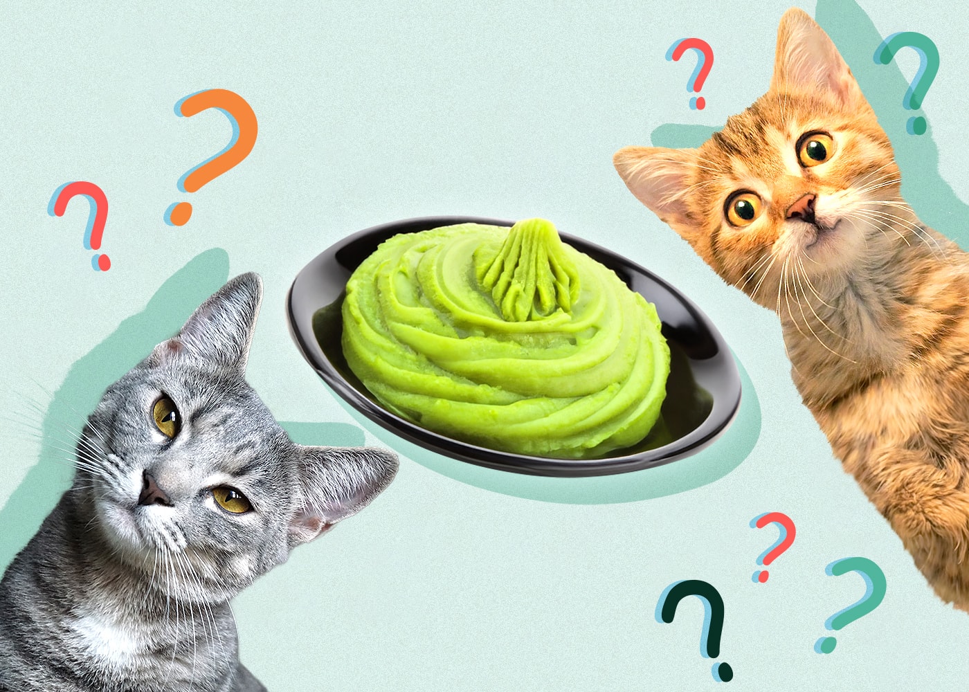 Can Cats Eat wasabi