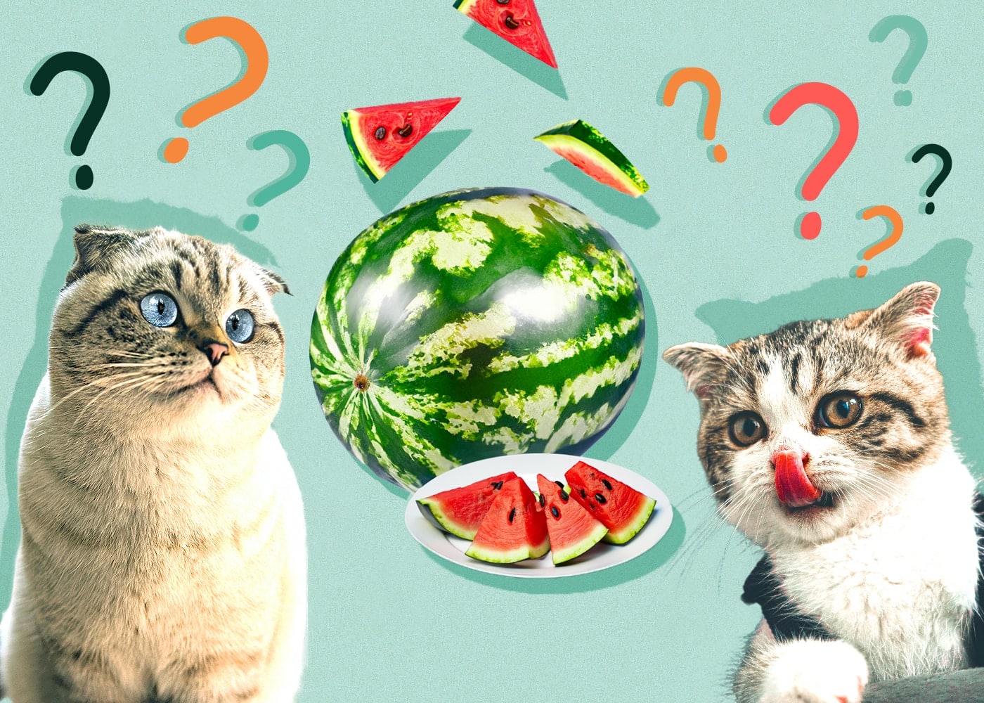 Can Cats Eat watermelon