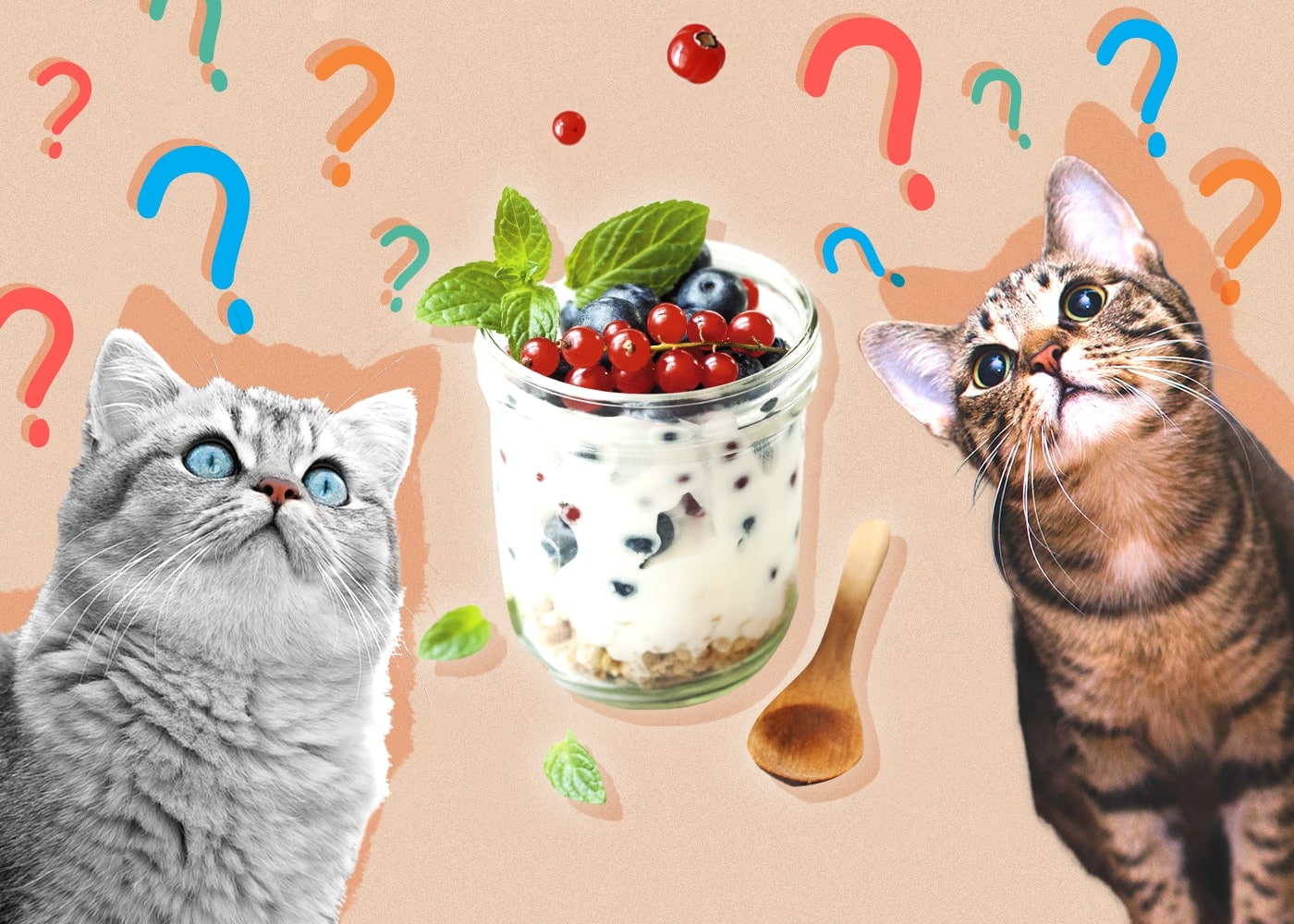 Can Cats Eat Yogurt