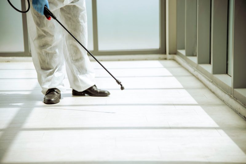 Exterminator fumigating a room