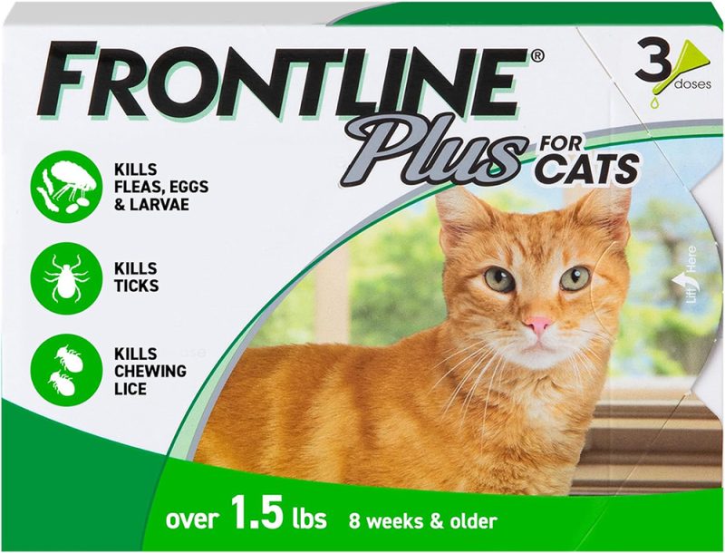 Picture of 9 Best Flea Treatments for Kittens (2026) - Reviews & Top Picks - Catster
