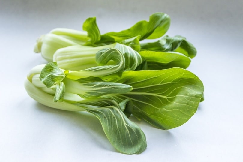 Fresh bok choy on the table
