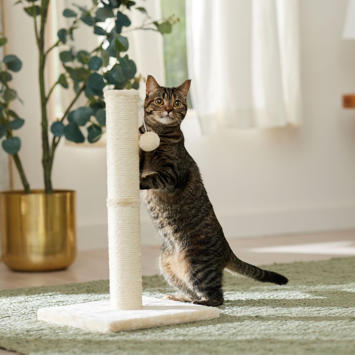 Frisco 21-in Sisal Cat Scratching Post With Toy