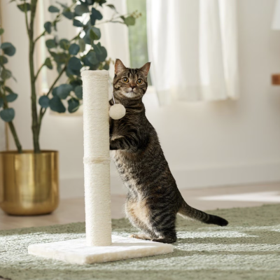 Frisco 21-in Sisal Cat Scratching Post with Toy