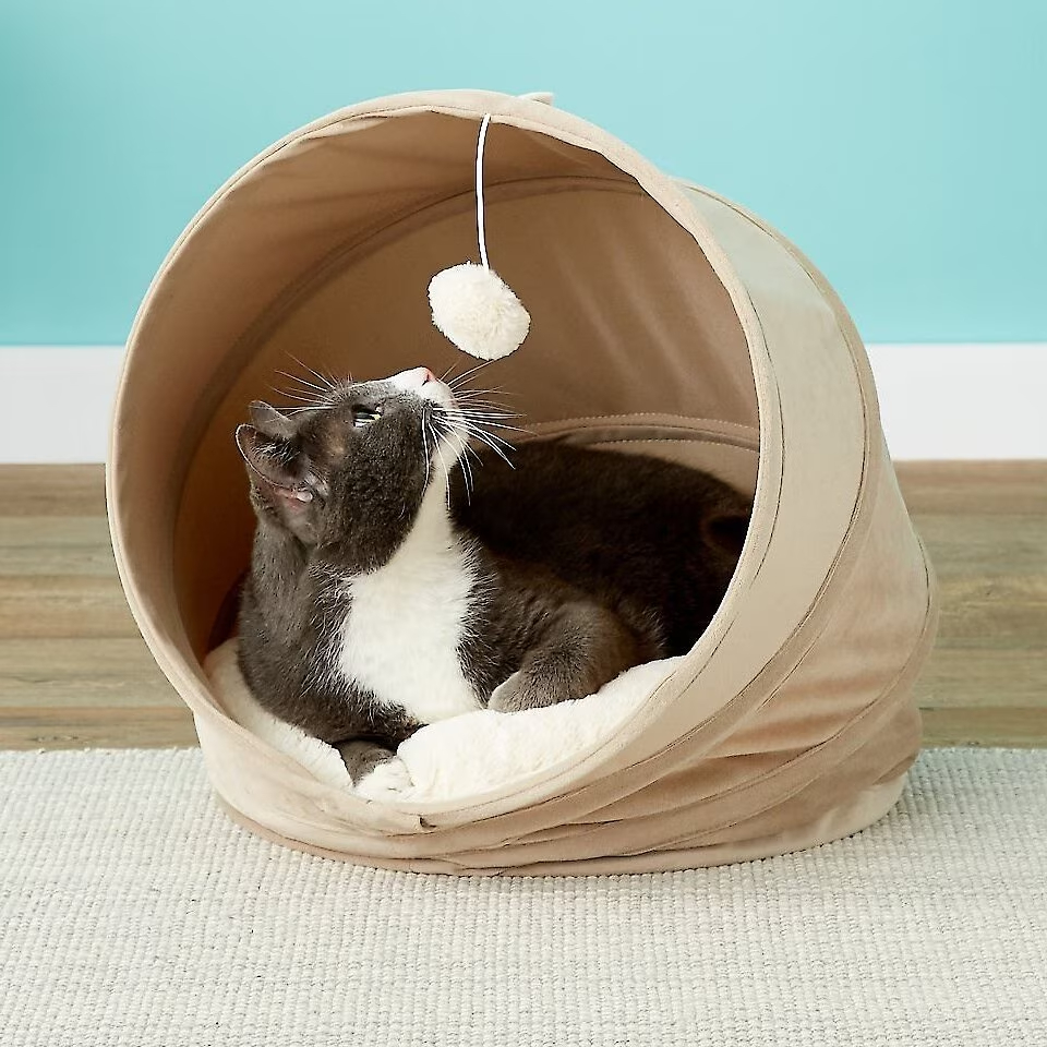 Frisco Foldable Canopy Cat Bed