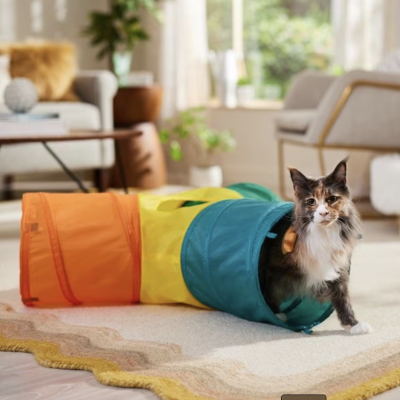 Frisco Foldable Play Tri-Tunnel Cat Toy