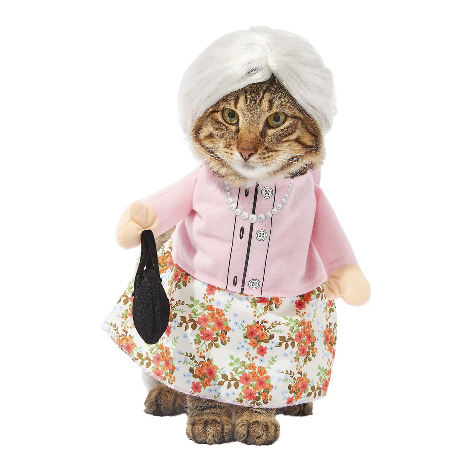 Frisco Front Walking Granny Dog & Cat Costume