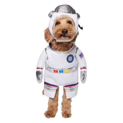 Frisco Front Walking LED Astronaut Costume