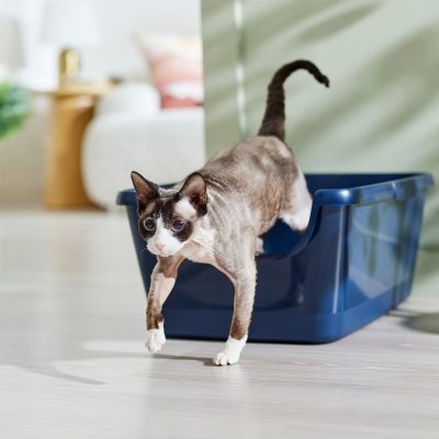 Frisco High-Sided Cat Litter Box