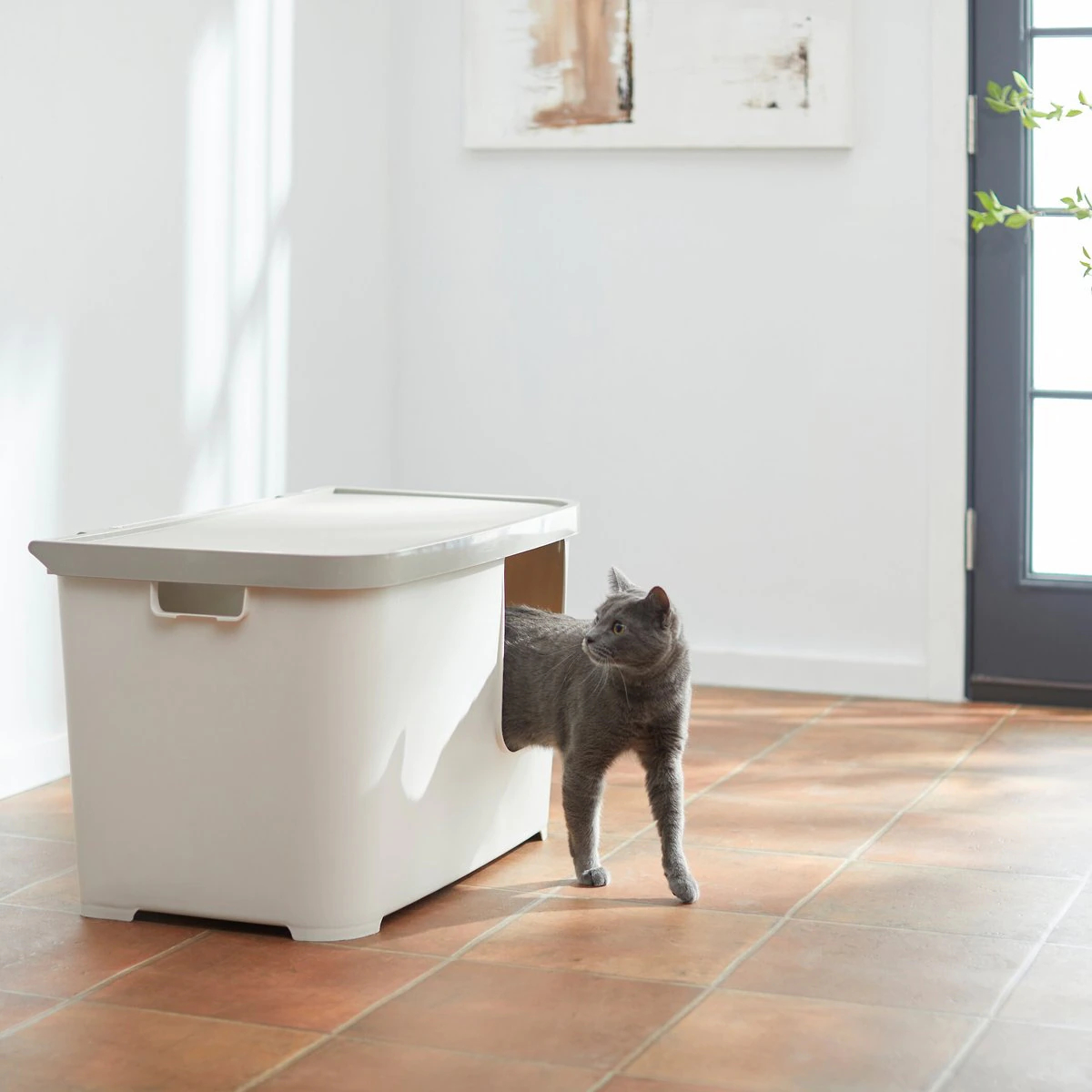 Frisco Multi-Function Covered Cat Litter Box, Jumbo New