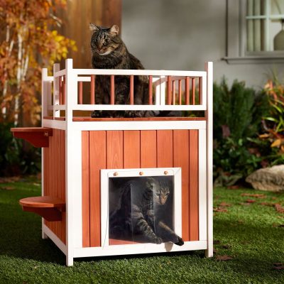 Frisco Outdoor Wooden Cat House With Elevated Balcony Steps