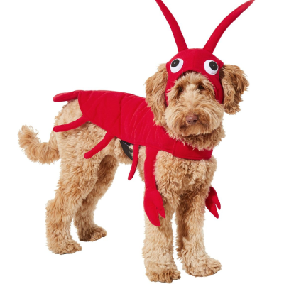 Frisco Red Lobster Costume