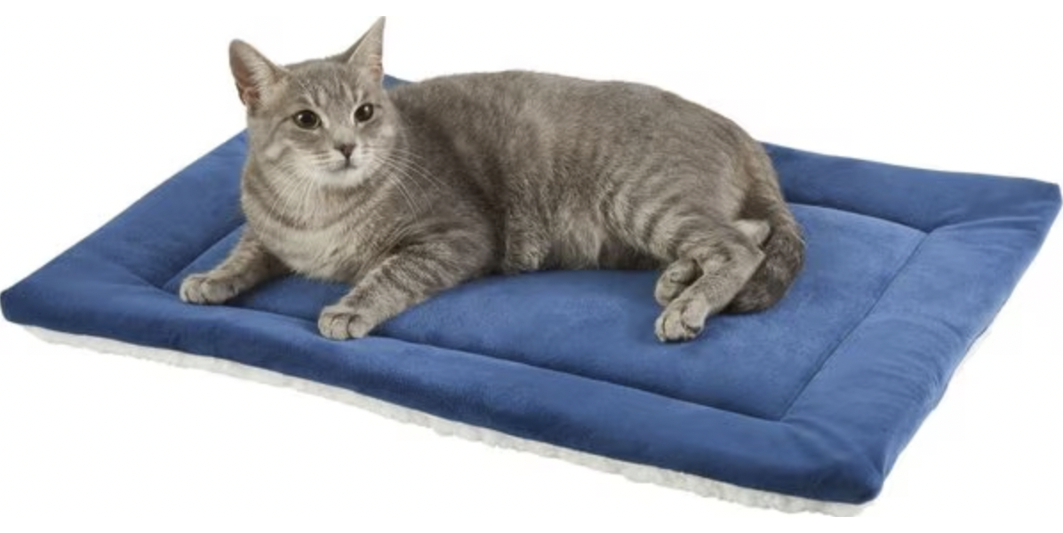 Frisco Self-Warming Pillow Rectangular Pet Bed