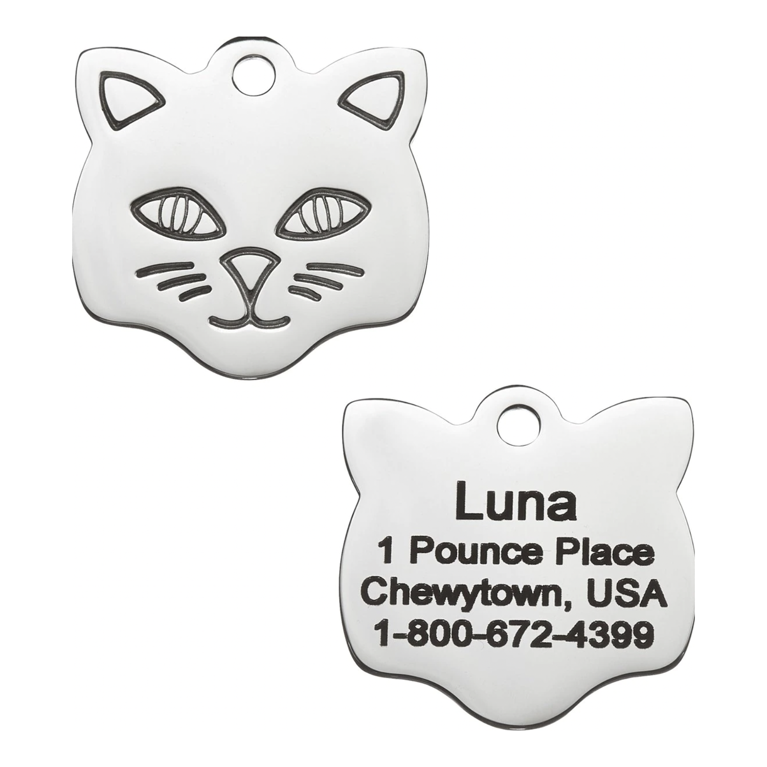 Frisco Stainless Steel Personalized Dog & Cat ID Tag