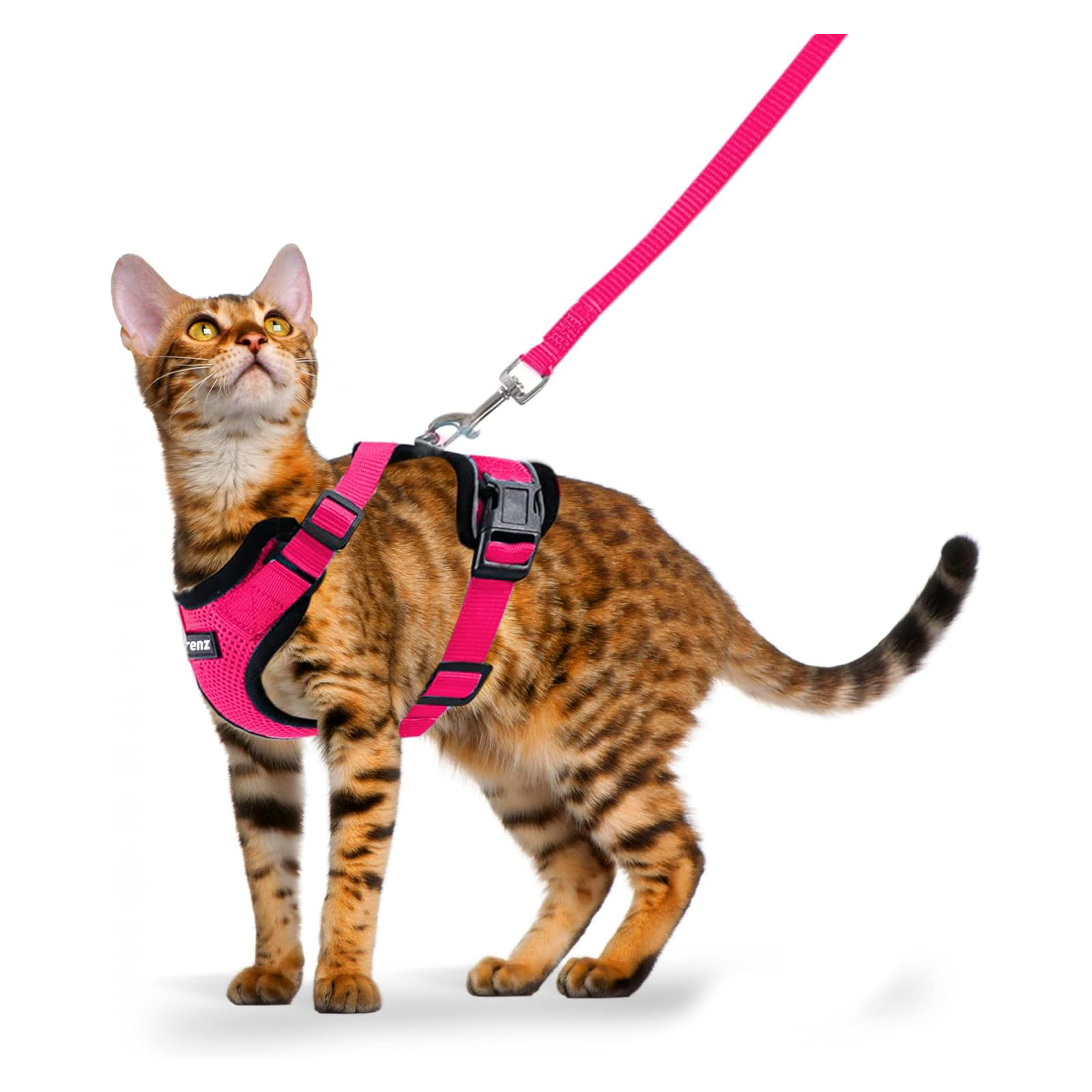 FurryFrenz Cat Harness and Leash Set for Walking