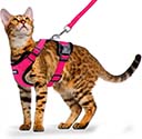 FurryFrenz Cat Harness and Leash Set