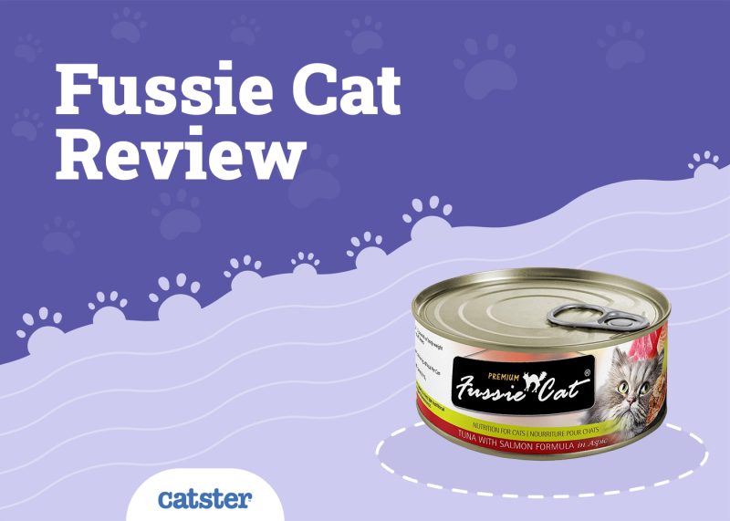 Fussie Cat Food Review