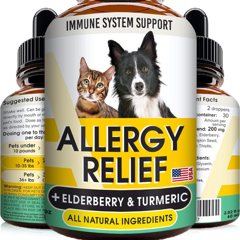 10 Best Medication for Cat Allergies (2025) - Reviews & Top Picks - Catster