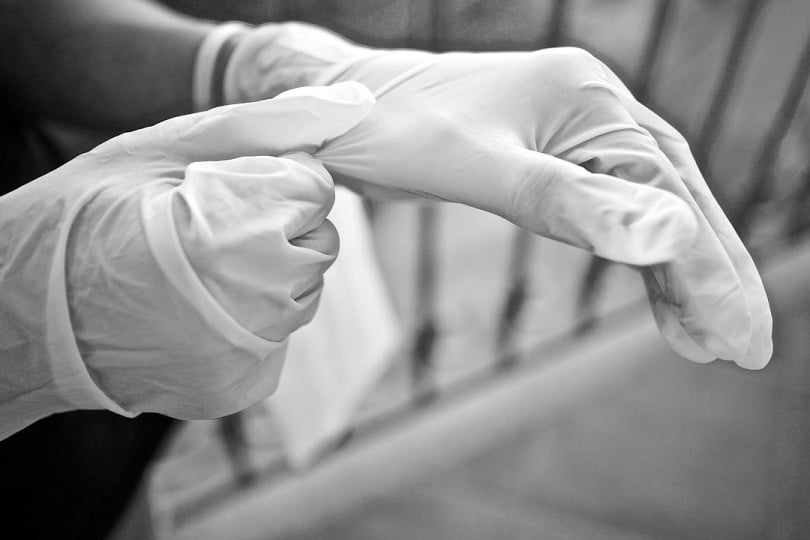 Gloves placed on hands