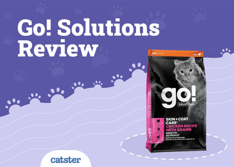 Go! Solutions Cat Food Review