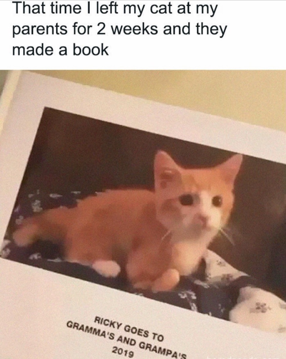 Grandcat Scrapbooking
