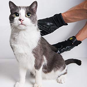 Grooming Gloves-PetMagasin-Amazon
