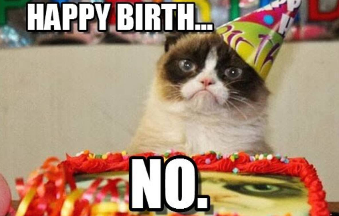 Grumpy Cat