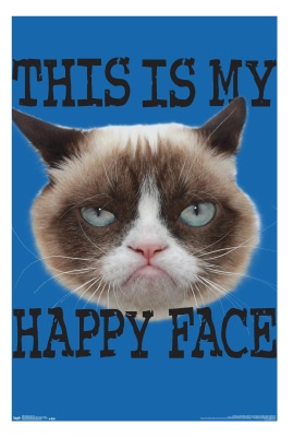 Grumpy Cat Face Poster