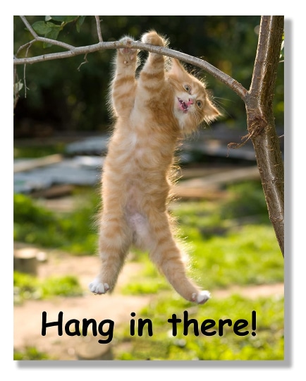 Hang in There! Poster