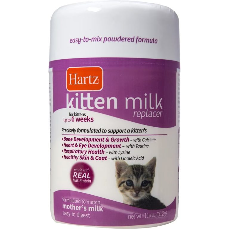 6 Best Kitten Milk Replacers in 2025 - Reviews & Top Picks - Catster