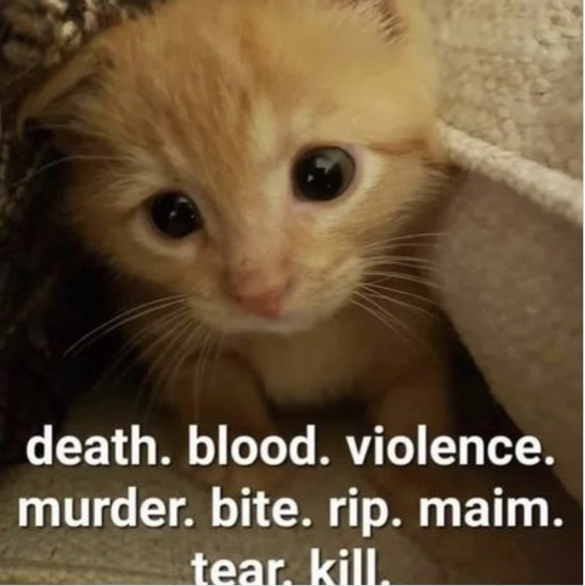 He Chooses Violence